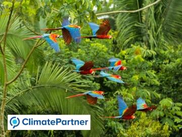 Fugendichtband24 GmbH schützt Regenwald als ClimatePartner